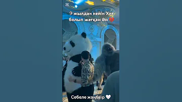 Понти Жорабеков Себеле жаңбыр Ponti Jorabekov Sebele Zhanbyr 