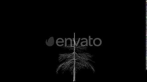 Tree Conifer Growing 3 | Motion Graphics - Envato elements