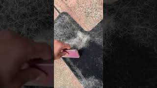 How to remove dog hair from car with phone case
