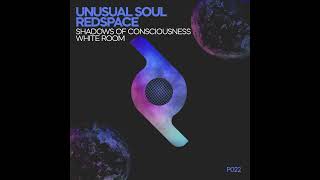 Redspace, Unusual Soul - Shadows of Consciousness