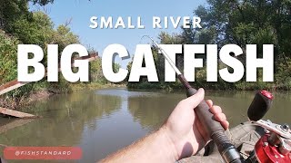 Shallow River Channel Catfish