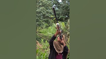 hunting burung punai#berburu
