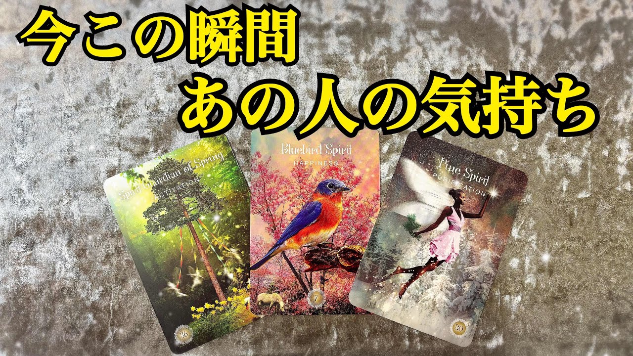 Love Psychic Tarot] Their feelings and true intentions for you