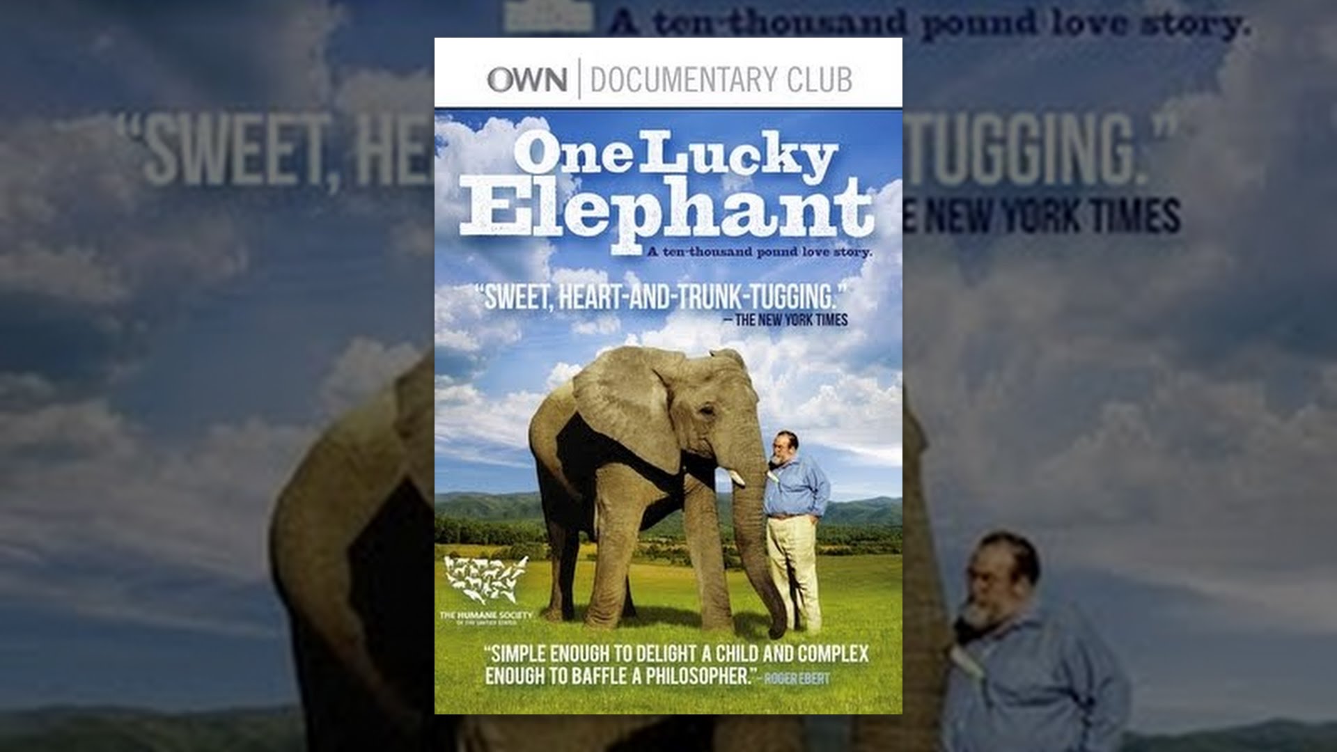 One Lucky Elephant - YouTube