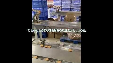 Auto Biscuit dual line flow wrapper，Biscuit auto flow packaging machine,Auto Cookies feeding packing