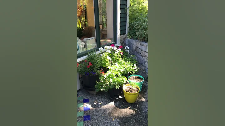 Christine Reimer's Painting studio