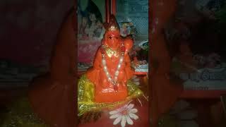 8 अक्टूबर को धीरेंद्र शास्त्री का कर्ज मुक्ति उपाय #hanuman #upay #bageshwar #shorts #bageshwardham