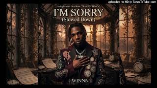I'm Sorry (Slowed Down) by t-WINNN (Official Audio)
