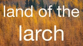 Land Of The Larch