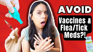 DON'T Give Your Dog Vaccines or Flea/Tick Meds *BEFORE* Watching This!