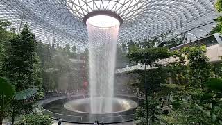 The world's tallest indoor waterfall (HSBC Rain Vortex) Jewel, Changi Airport, Singapore 24092023