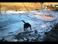 Jax on ice