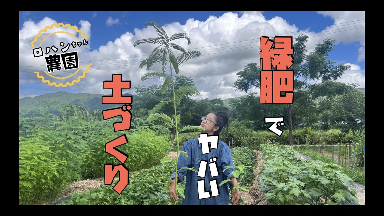 【緑肥】をつかえば圧倒的に【土】が良くなる！！野菜を育て易い土づくり！！　オススメ緑肥【ソルゴー】【セスバニア】【クロタラリア】【農家の家庭菜園】