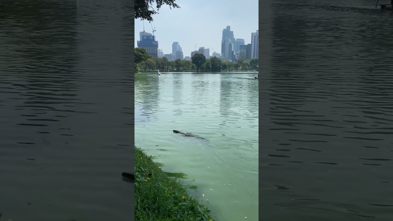 Wildlife place in Bangkok 