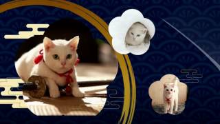 viutv-drivinginhk-part-20161228