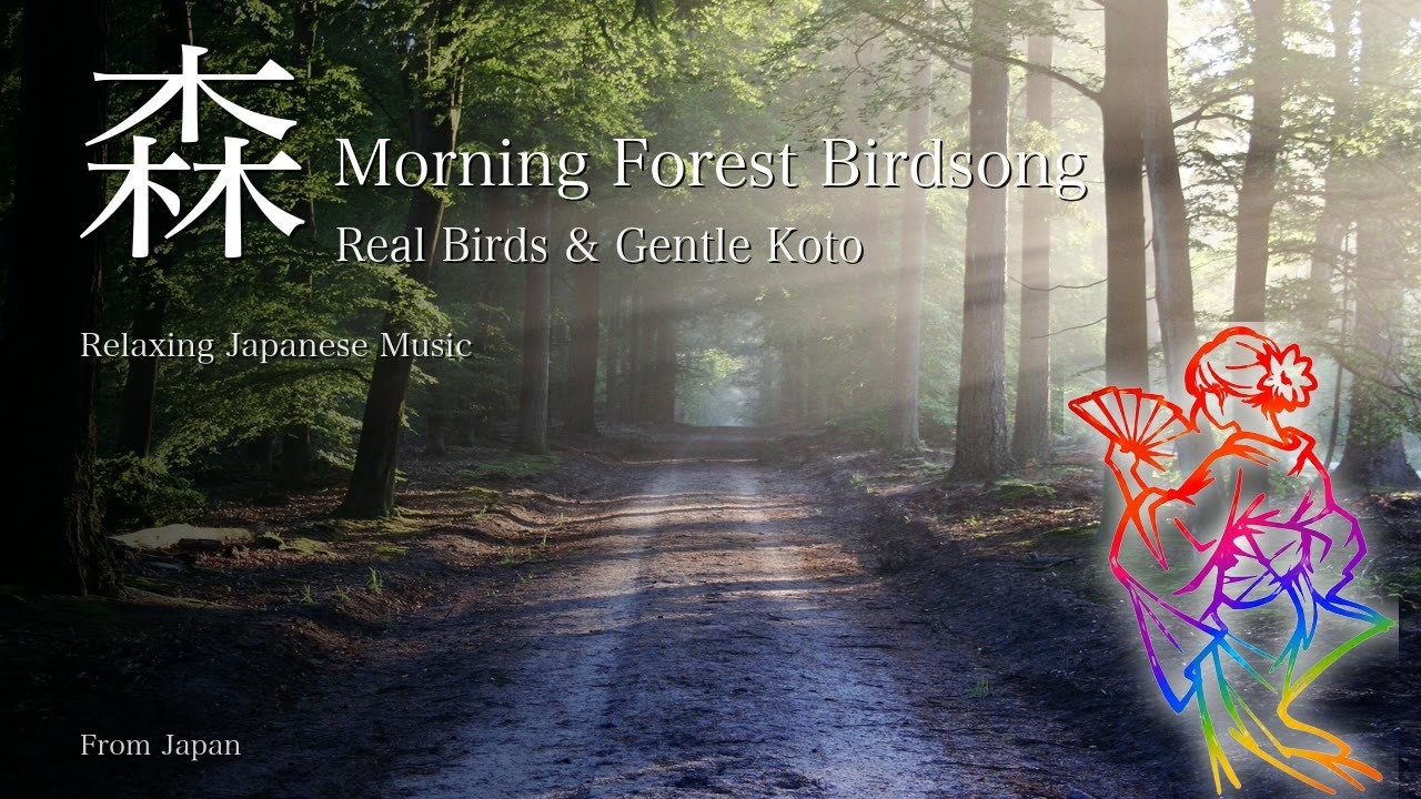 Morning Forest Birdsong & Koto • 3 Hours of Relaxing Japanese