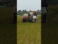 Mesin kubota  panen padi di sawah
