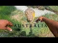 AUSTRALIA : THE LAND DOWN UNDER