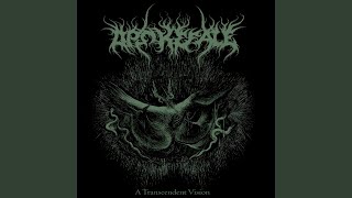 I Vision. Ode to the Fire