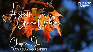 Reading: Anne of Green Gables to you (Chapter 1) 🦊🎶 a raw, pure 'n' relaxing audiobook for all ages screenshot 5