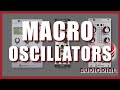 Pourquoi les macro oscillators cest top braidsplaitstwin waves