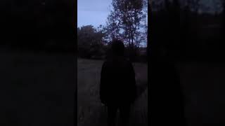 ТГК: Музыка и Картинки