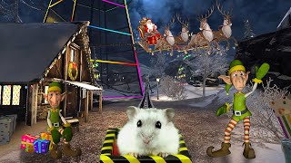 Hamster in Christmas Roller Coaster