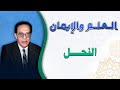 النحل العلم والايمان الجزء الثالث الدكتور مصطفى محمود 