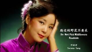 Teresa Teng - Lu Bian De Yehua Bu Yao Cai (English Lyrics Pinyin)  邓丽君 - 路边的野花不要采【中英文歌词】