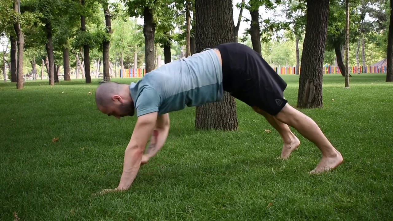 Dog Plank - YouTube