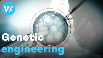 Soon a customized humanity? The CRISPR-Cas9 genetic revolution and its ethical issues