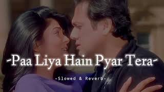 Paa Liya  Hain Pyar Tera - Slowed & Reverb - Alka Yagnik / Udit Narayan Thumb