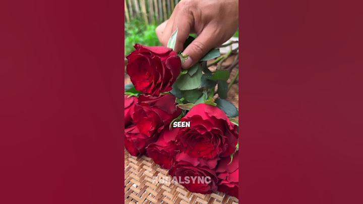 Traditional Lipstick Made from Roses #shorts