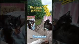 Клёвое место #рыбалка #fishing #рыбалканафидер #рыба #рыбалканаозере #большая #щука #ловляхариуса