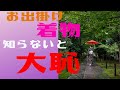 着物初心者に度重なる壁【羽織りと着物の関係・格】失敗から学ぶ 藤工房 和裁用語 どんぶり 紗合わせ お仕立て お誂え 陣羽織