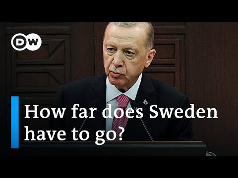 Why Erdogan is still blocking Sweden's NATO bid | DW News