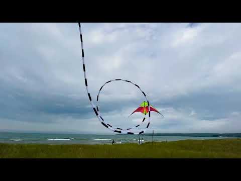 Prism Quantum Stunt Kite with 75ft Tail!