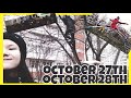 week of vlogs(6,7) квн, коллекция криков