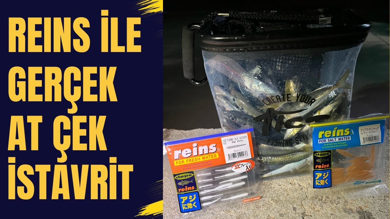 Balığın İçine Düştük! LRF Silikonunda Renk ve Model Seçimi, Sonrasında At Çek İstavrit Avı