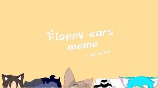 Floppy Ears MEME Collab with: Maucat Jr. Samirox Alice Animations Mabel 1.2 (OLD)