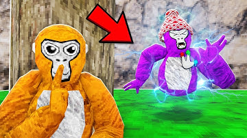 I PLAYER TRACKED A Gorilla Tag PRO...