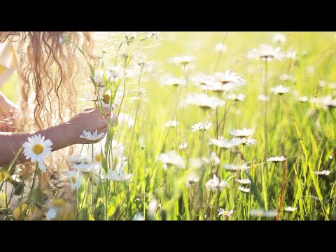 IMANU & LIA - Temper