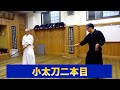 44【日本剣道形の基礎（小太刀二本目）】剣道教士八段 岡田守正｜「剣道イノベーション研究所」 ｜Kendo lesson by Morimasa Okada 8th Dan