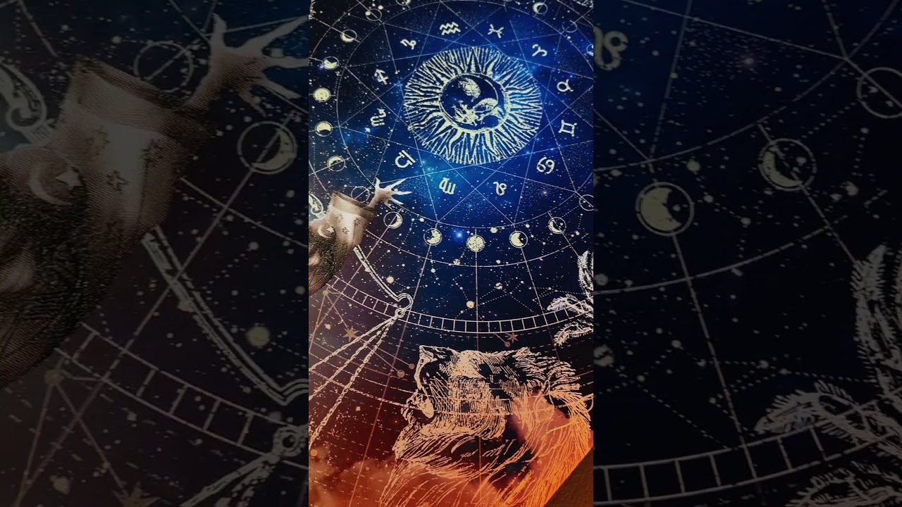 ✨ZODIAC✨
