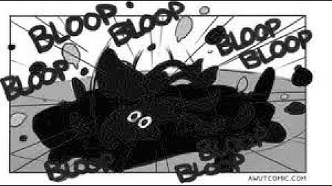 Squidbagging in a nutshell