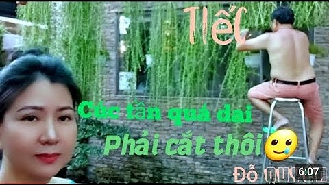 Anh ấy cắt tỉa cây cúc tần quá đỉnh👍| Daily Vlog