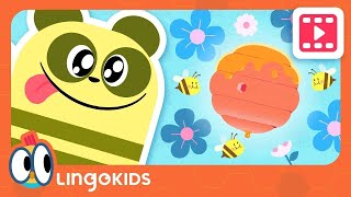 BABY BOT Knows BEES 🐝 🍯 Cartoons for Kids | Lingokids | S1.E9