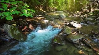 Música Relaxante: Flauta Indígena e Sons da Natureza - Acalmar a Mente e Relaxar