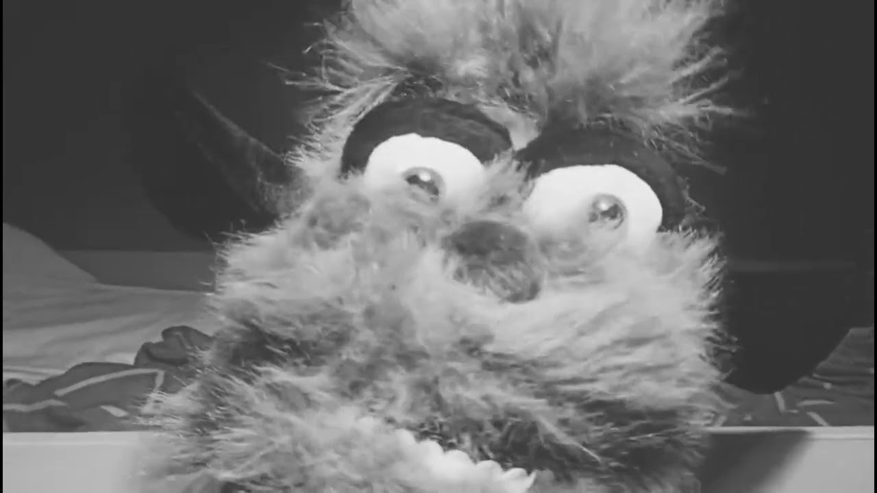 Angry birds plush adventures D'movie | delay announcement 