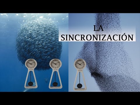 SYNCHRONIZATION IN LIFE
